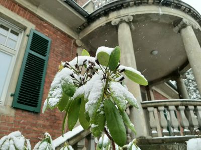 Hautarzt Münster | Dermatologie | Phlebologie | Allergologie | Ästhetik | Lasertherapie - Unser Praxis mit Schnee