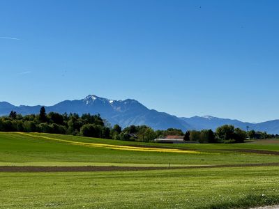 IMG 8071